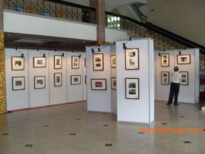 南京書畫展板租賃與海報展示板服務(wù) 專業(yè)展覽展示解決方案